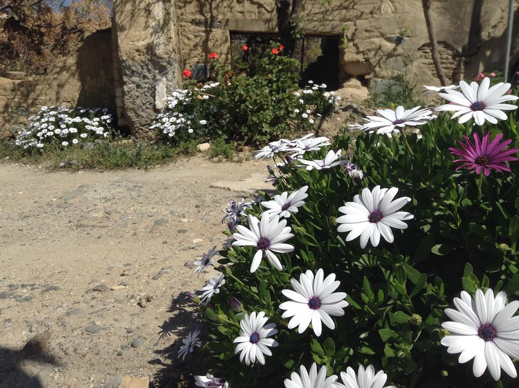 Guesthouse Gonia Pera Orinis Dış mekan fotoğraf